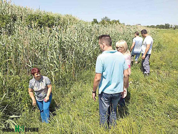 Рабочая группа осмотрела водные объекты на участке предполагаемого строительства, в зоне сбора сточных вод и формирования водоносного горизонта.