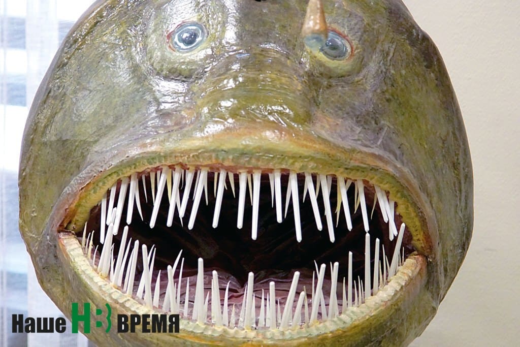 Вот таких «рыбок» можно встретить на глубине… Вот таких «рыбок» можно встретить на глубине…