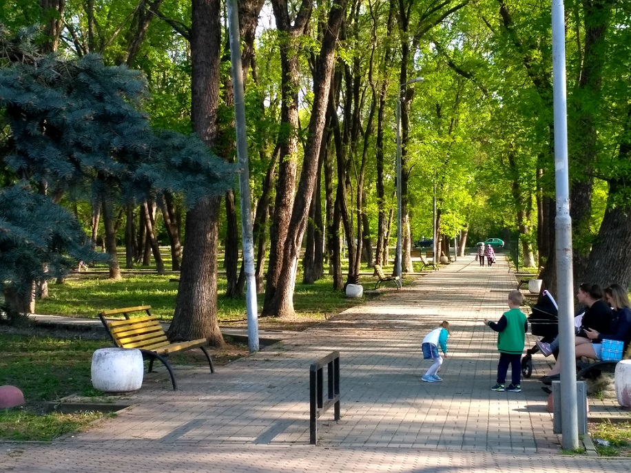 Центральная аллея в Парке Победы.