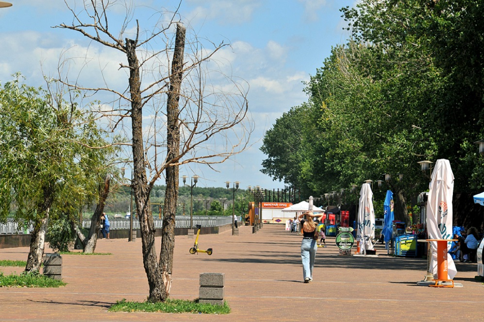 Зеленый каскад Левобереждный аллея.jpg