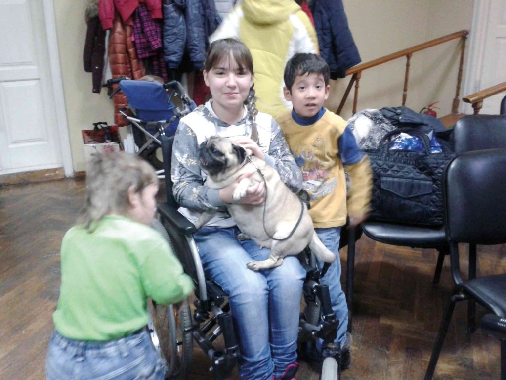 собаки-2.jpg собаки-2.jpg