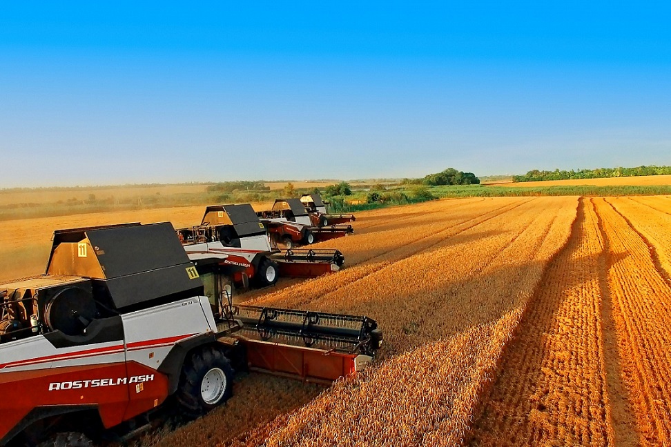 Успешно преобразованный донской агропром сегодня уверенно берет планку стабильно высоких урожаев.