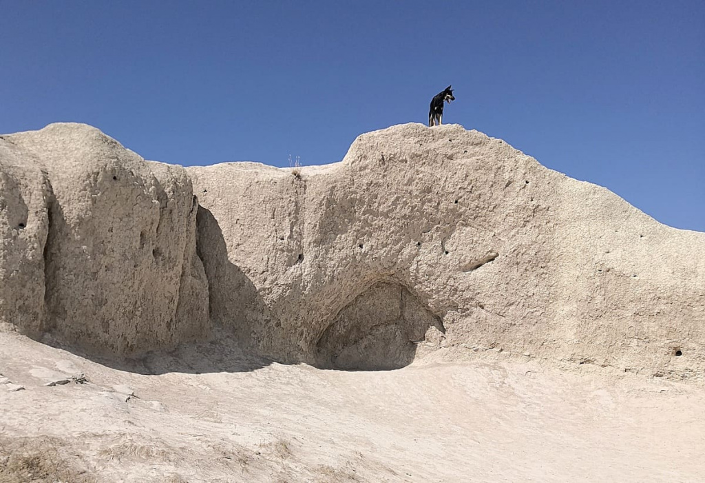 На смотровой площадке Ласточкины гнезда – многочисленные рельефные скалы.
