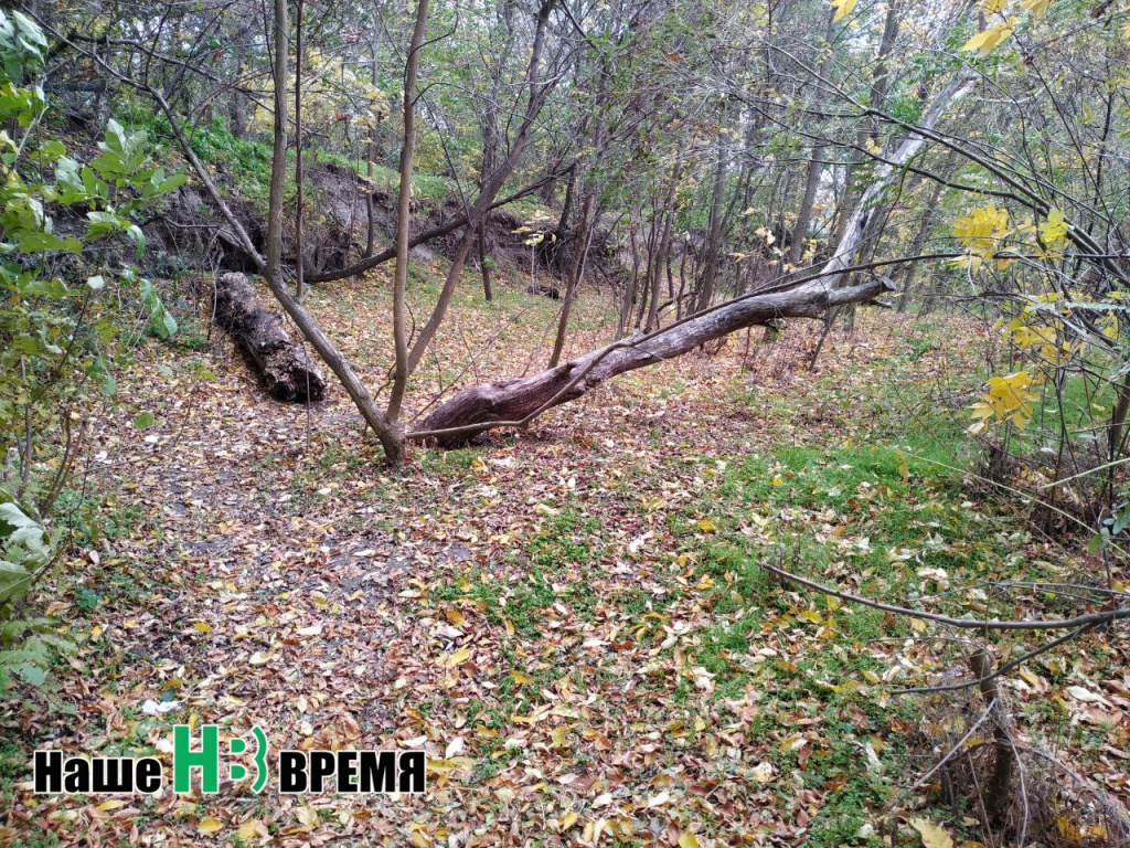 Там на неведомых дорожках. Там на неведомых дорожках.jpg
