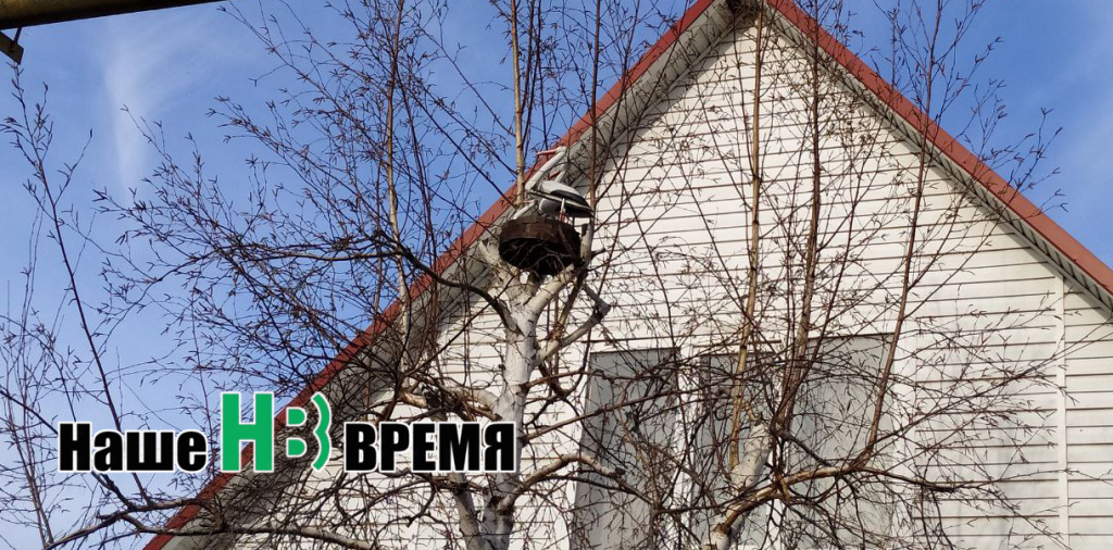 Аист на крыше. Аист на крыше.jpg