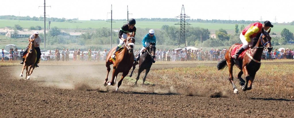 скачки-в-День-села-Развильного-2012-года.jpg