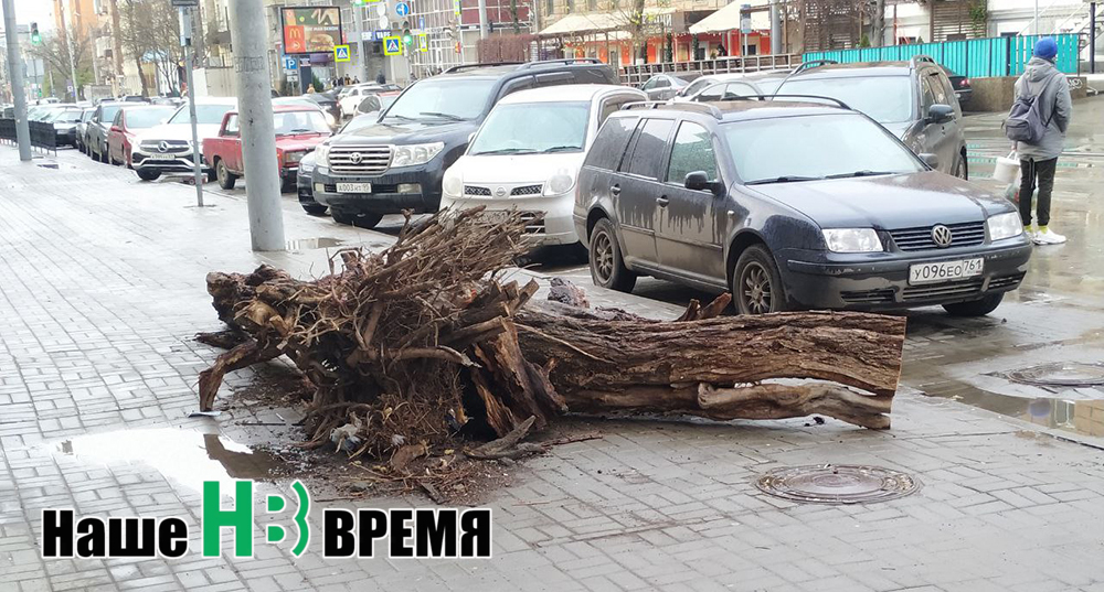 Зир в корень.jpg Зир в корень.jpg
