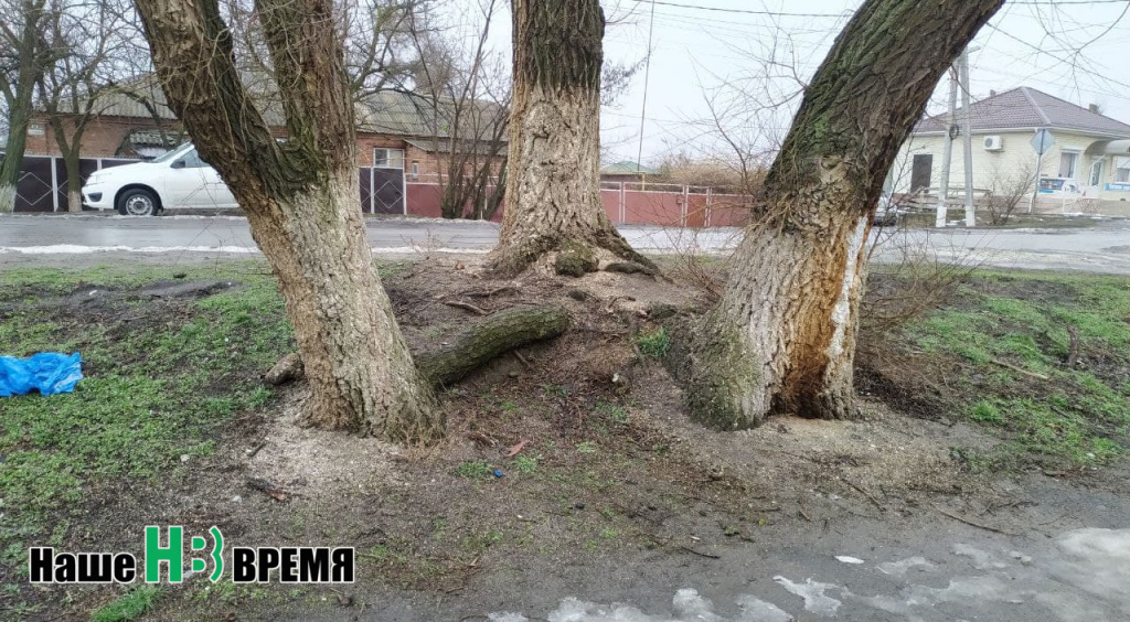 Мы коленями землю вращаем.jpg Мы коленями землю вращаем.jpg