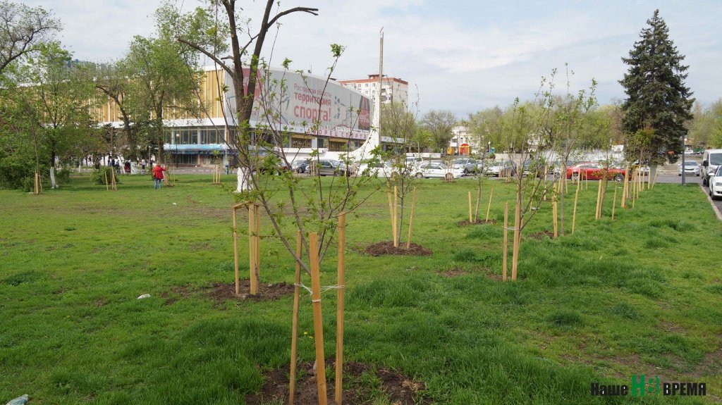 На западном развороте транспорта на Московской не осталось ни следа от ларьков. Обещают, что, кроме газонов и елей, будут еще лиственные деревья и цветы...