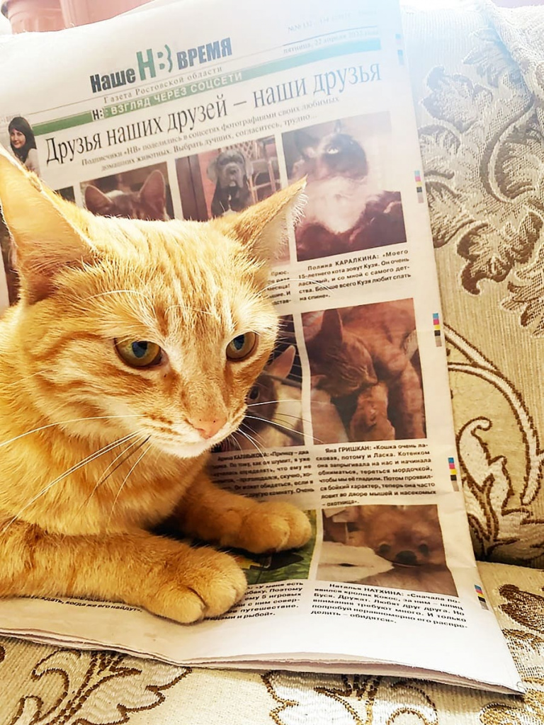 Такой привет нам пришел от Яны ГРИШКАН. Ее Ласку увидела вся Ростовская область. Теперь выпуск «НВ» будет храниться в семейном архиве.