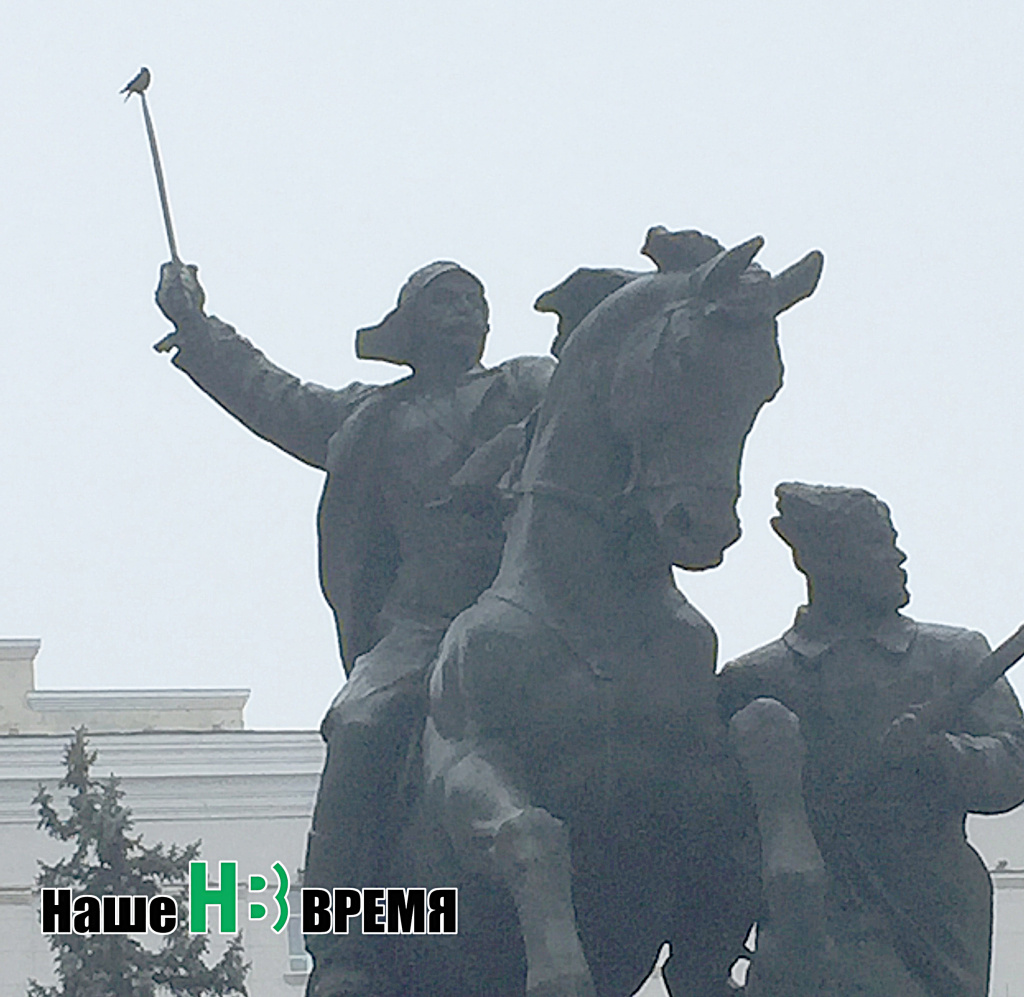 Птичку жалко.jpg