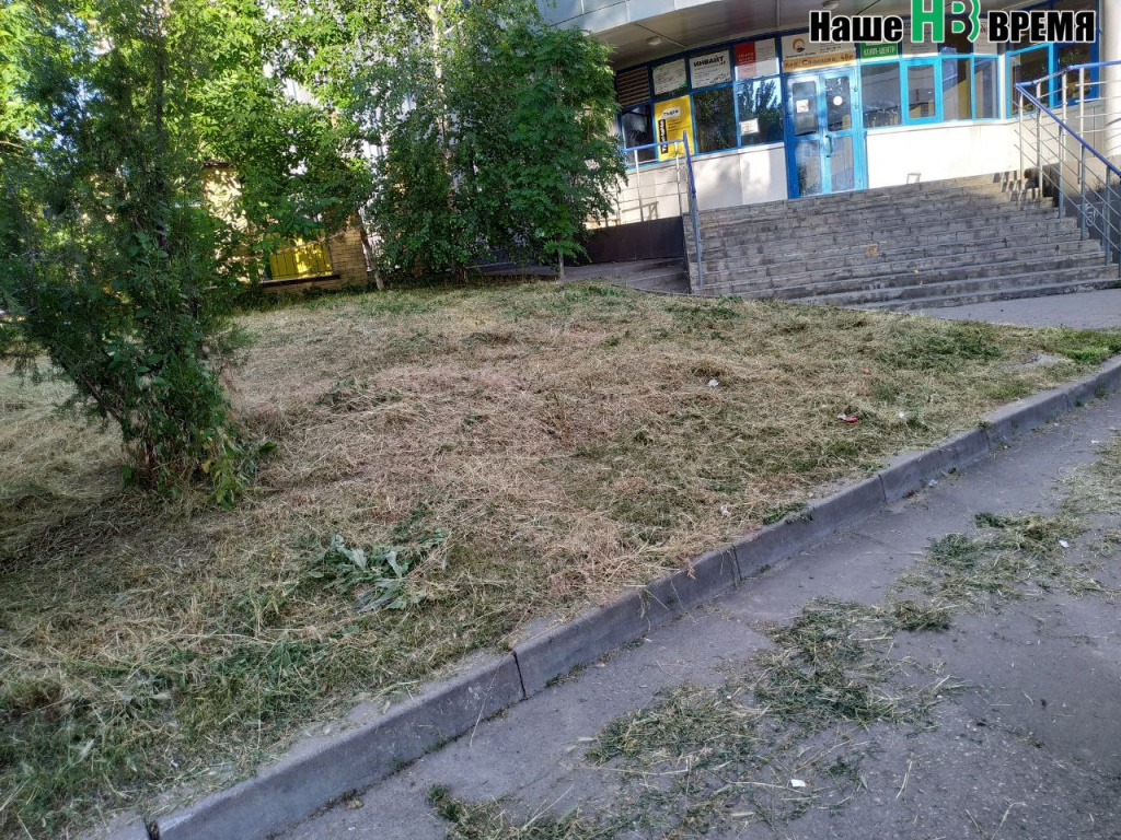 На посев ли.jpg На посев ли.jpg