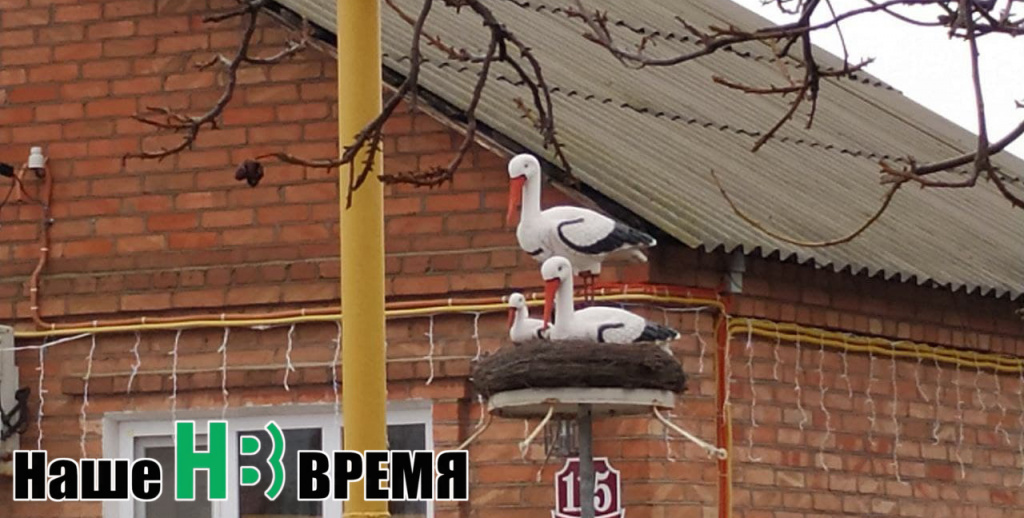 Аист на крыш.jpg Аист на крыш.jpg
