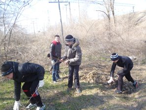 Без-имени-2.jpg