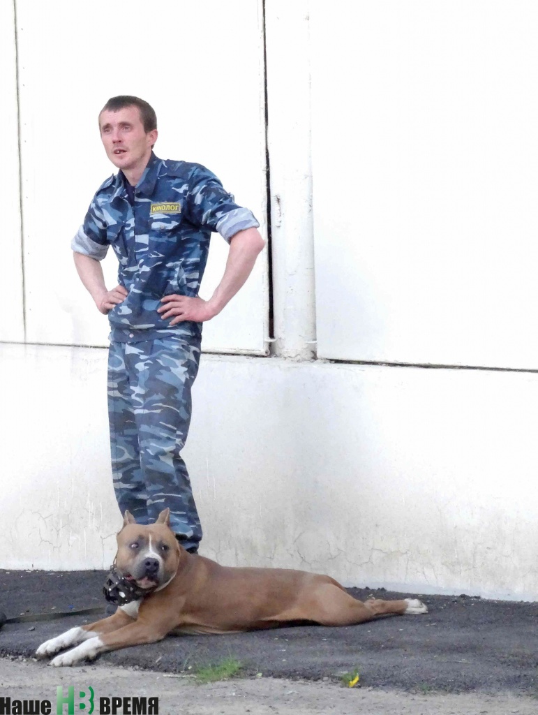 В Красном Сулине прошел первый фестиваль домашних собак
