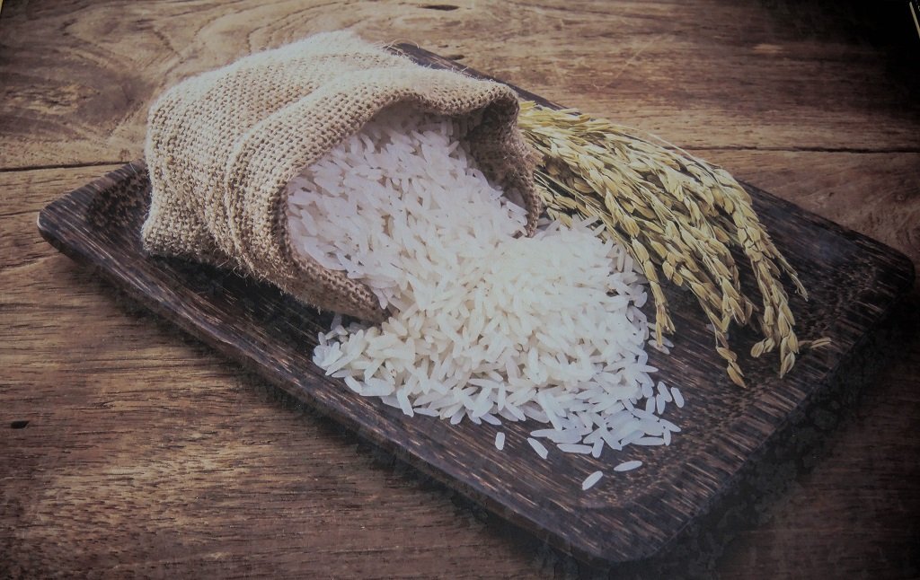 На донских чеках началась уборка самого северного в мире риса