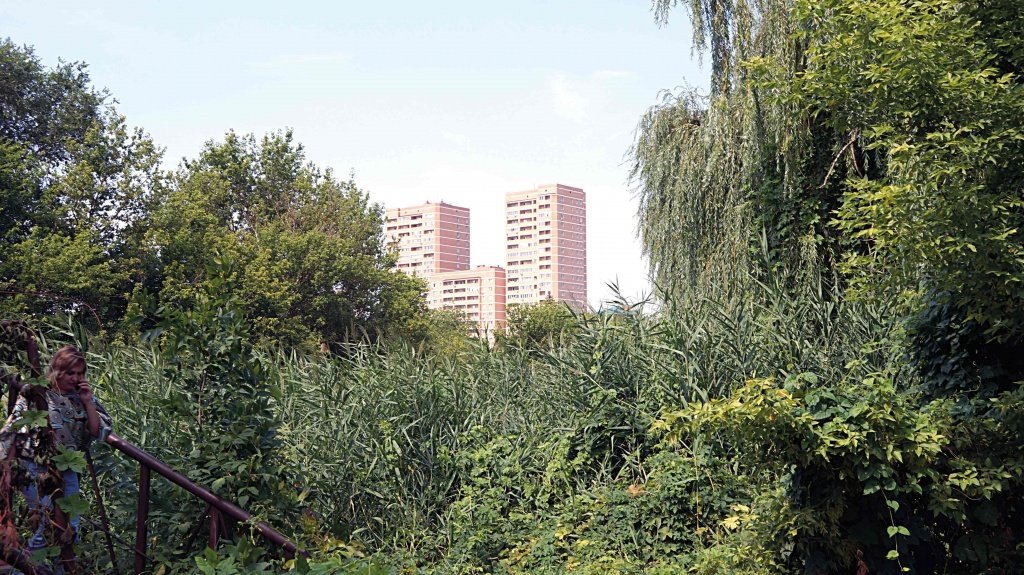 DSC07478.jpg