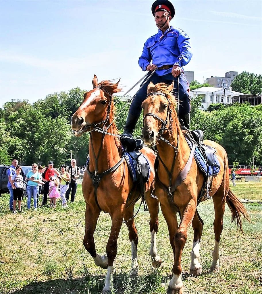 Миллерово конник.