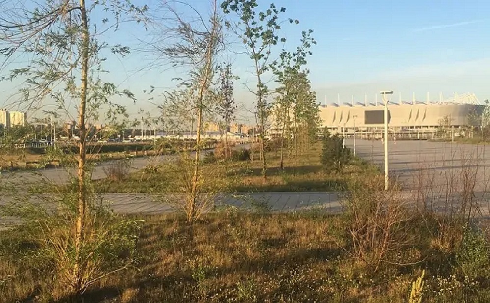 Зеленый каркас Ростов Арена Ростовгазета.jpg