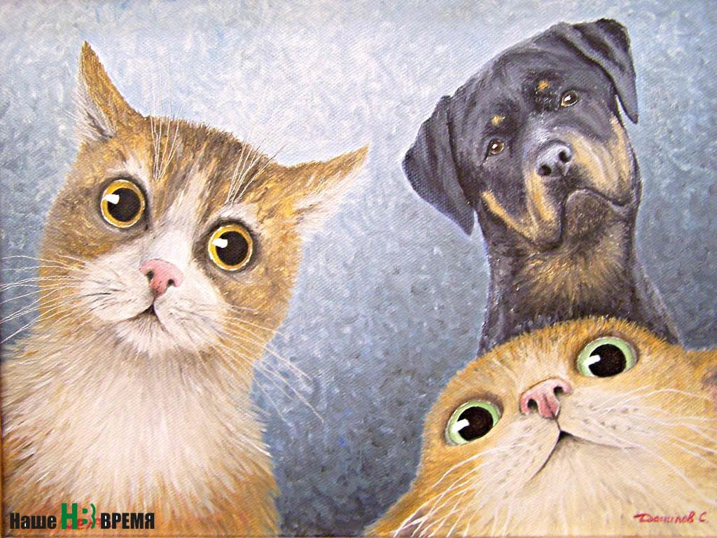 Сергей ДАНИЛОВ: котоселфи с собакой. Сергей ДАНИЛОВ: котоселфи с собакой.