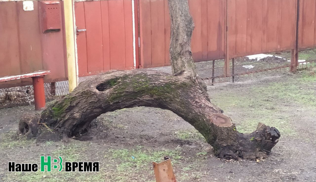 Кто там шагает правой.jpg Кто там шагает правой.jpg