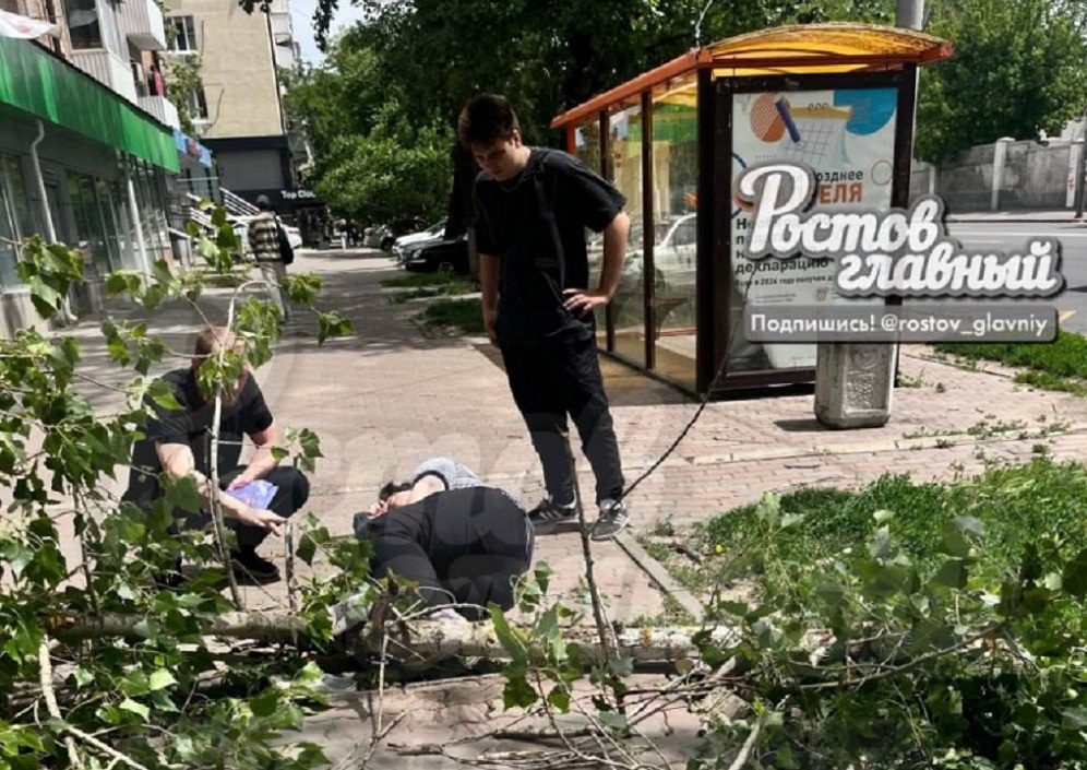 Ветер денревья 1.jpg