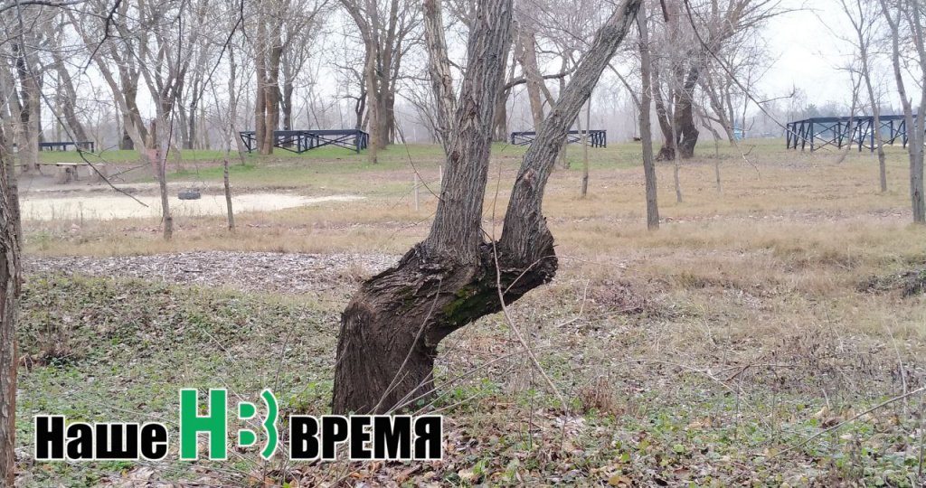 Рога поотшибаю. Рога поотшибаю.jpg