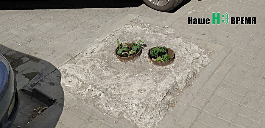 И из железа.jpg И из железа.jpg