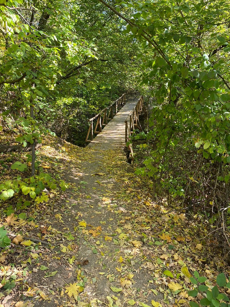 Теперь здесь не только красиво, но и удобно прогуливаться.