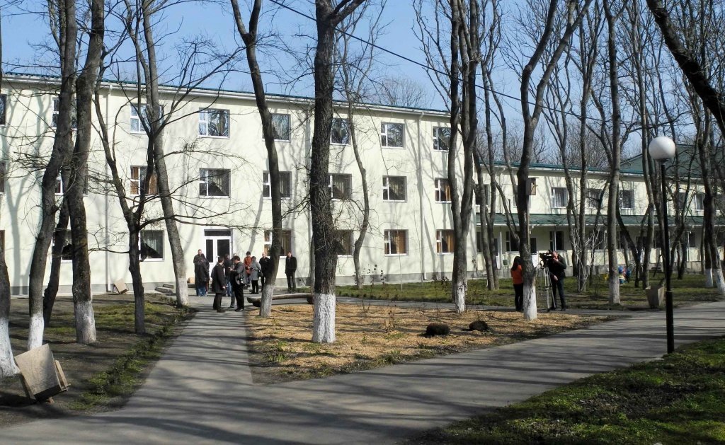 ромашка2.jpg