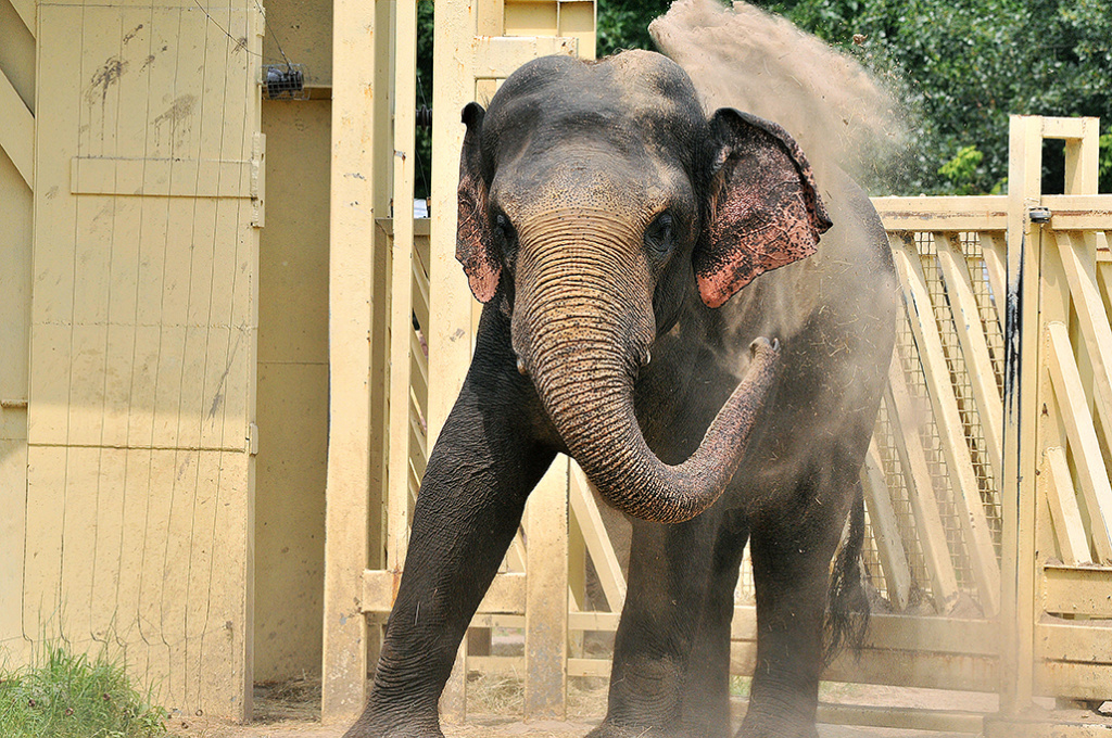 BAM_6250 копия 2.jpg