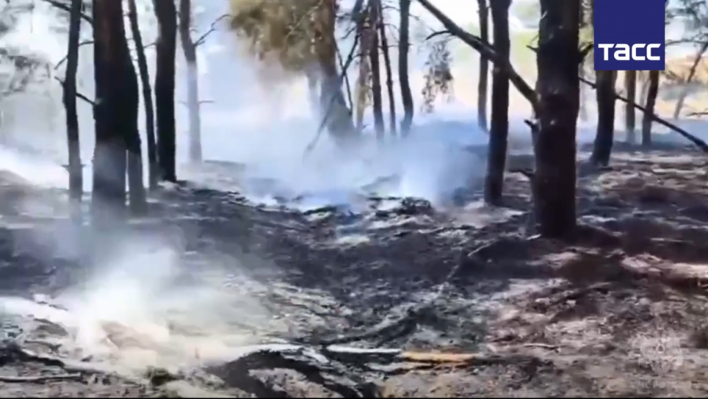 Каменский пожар ликвидация 1.png