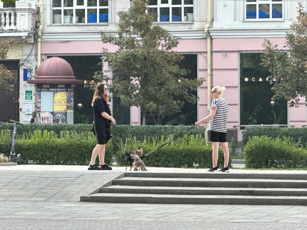 Изображение WhatsApp 2024-08-07 в 18.18.29_3c8905af.jpg Изображение WhatsApp 2024-08-07 в 18.18.29_3c8905af.jpg