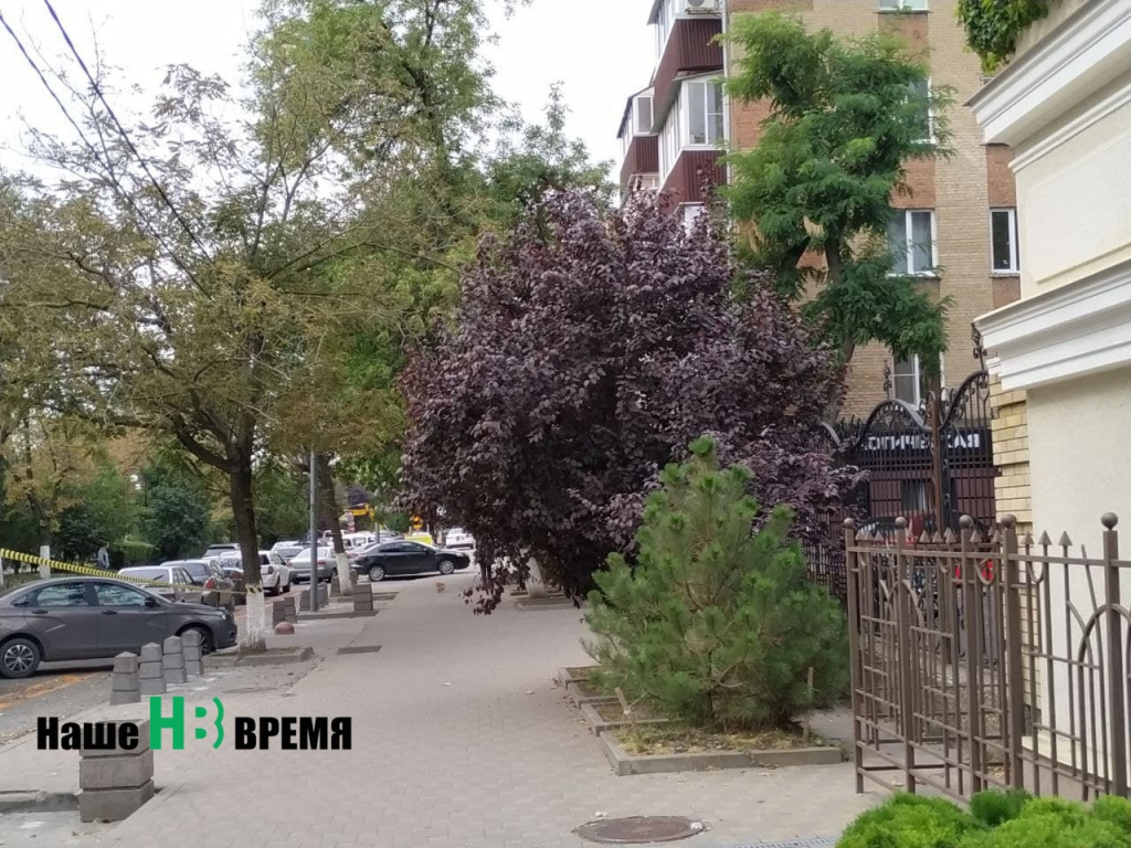 Сосна и Бордовое.jpg Сосна и Бордовое.jpg