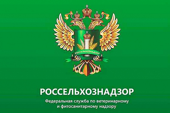 В Родионово-Несветайском районе Россельхознадзор обнаружил амброзию в крупной партии льняных семян