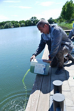 Ростовская АЭС «позеленила» Дон