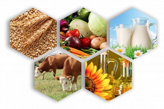 Экспорт переработанной продукции донского агропрома в минувшем году вырос на четверть