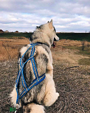 Есть контакт с профессионалами!