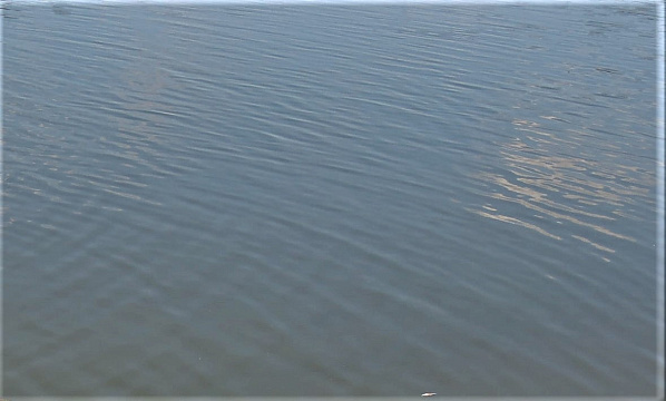 Юрий Лысенко: «Сейчас все водозаборы работают в штатном режиме..»