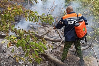 На Дону и в Донбассе: в Ростове чествовали спасателей и огнеборцев