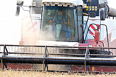 На полях Ростовской области идет уборка зерновых