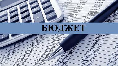 Депутаты донского парламента заслушали и утвердили отчет министерства финансов об исполнении областного бюджета 2024 года
