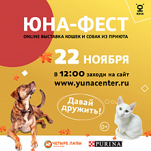 Донские жители смогут подобрать себе домашнего питомца онлайн