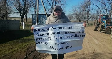 «Молочные протесты» донских селян вызваны низкими закупочными ценами на молоко