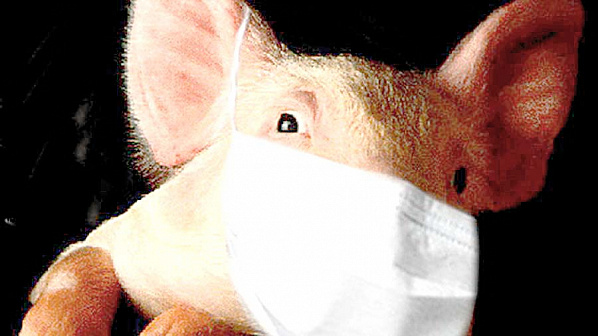 В России болеют свиным гриппом