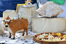 В донской столице отпраздновали День урожая