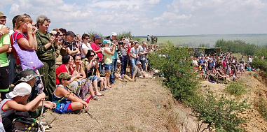 Непроигранный бой