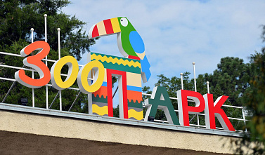 Ростовский-на-Дону зоопарк приглашает отметить День города вместе