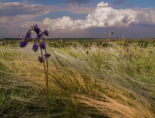 По какому маршруту пойдем?