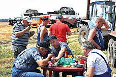 На полях Ростовской области идет уборка зерновых